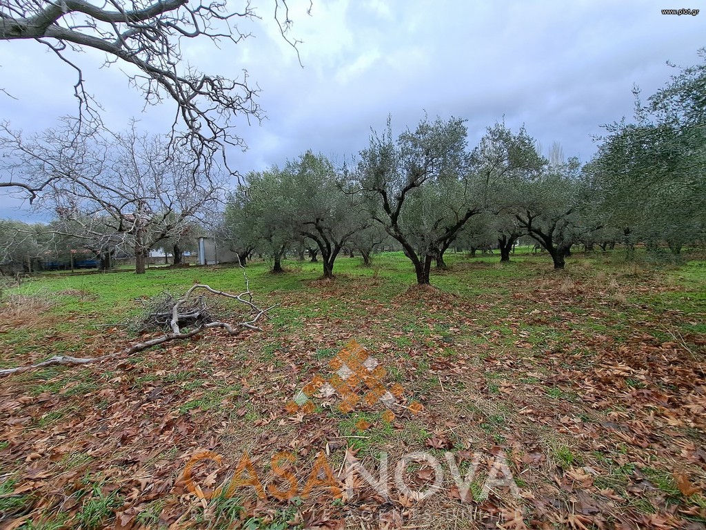 Αγροτεμάχια 1.905 τ.μ. προς πώληση, Νέος Μαρμαράς
