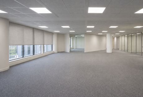 Office 480 sqm for rent