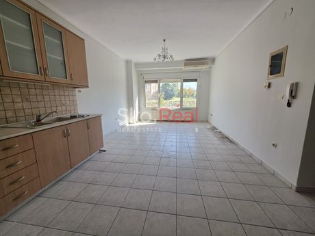 Studio 60 sqm for rent