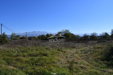 Αγροτεμάχια 9.900 τ.μ. προς πώληση