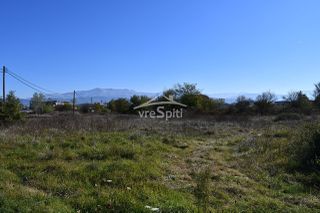 Αγροτεμάχια 9.900 τ.μ. προς πώληση
