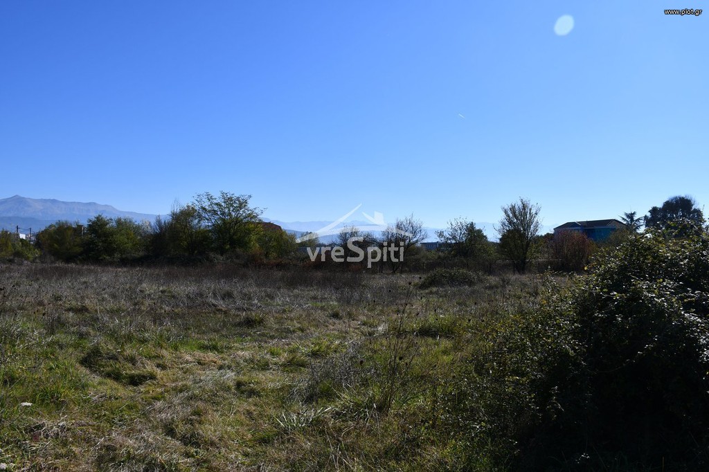 Αγροτεμάχια 9.900 τ.μ. προς πώληση, Νεοχωρόπουλο