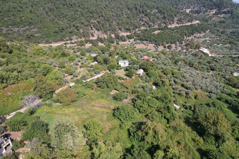 Οικόπεδο 300 τ.μ. προς πώληση, Παναγιά Θάσου