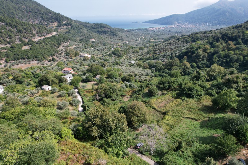 Οικόπεδο 300 τ.μ. προς πώληση, Παναγιά Θάσου