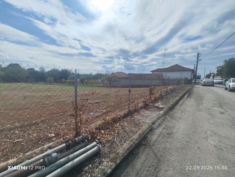 Οικόπεδο 1.460 τ.μ. προς πώληση, Παλαιοκώμη