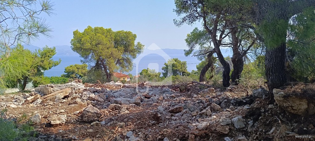 Οικόπεδο 1.030 τ.μ. προς πώληση, Θεολόγος Μαλεσίνας