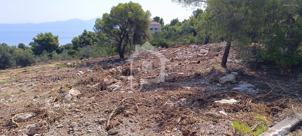 Οικόπεδο 1.030 τ.μ. προς πώληση, Θεολόγος Μαλεσίνας