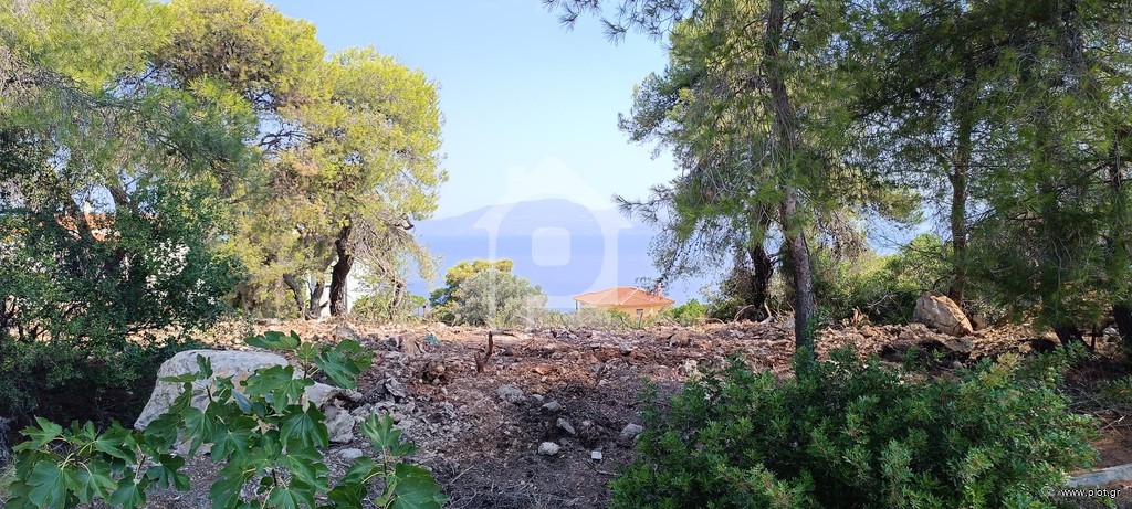 Οικόπεδο 1.030 τ.μ. προς πώληση, Θεολόγος Μαλεσίνας
