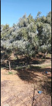 Parcel 3.469 sqm for sale
