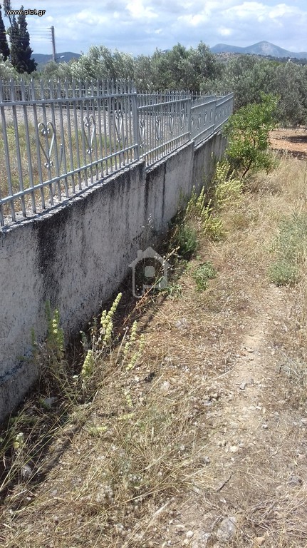 Αγροτεμάχια 370 τ.μ. προς πώληση, Αγία Τριάδα Μαρκοπούλου