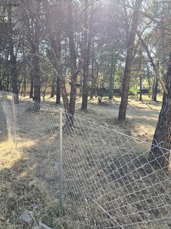 Οικόπεδο 4.500 τ.μ. προς πώληση, Φασιδέρη