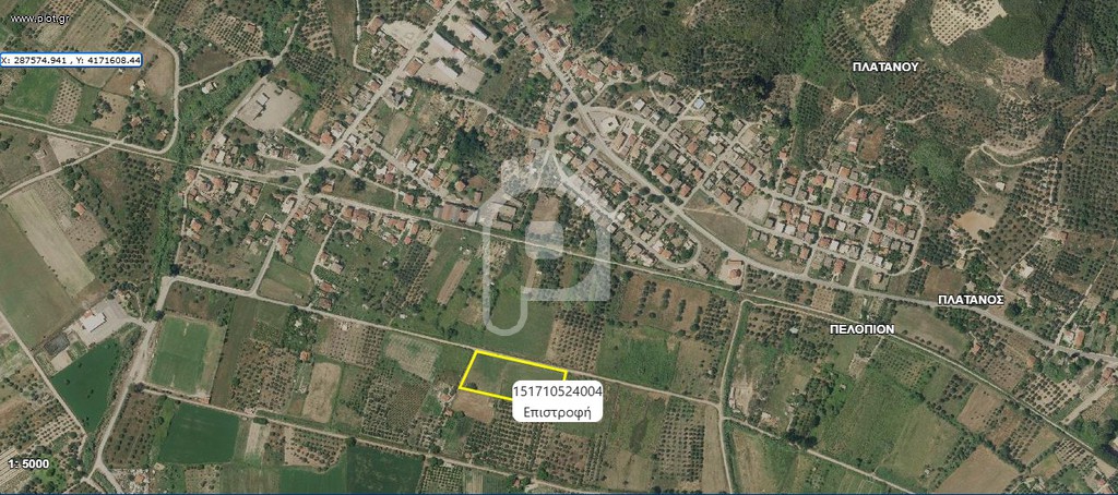 Αγροτεμάχια 8.728 τ.μ. προς πώληση, Πελόπιο
