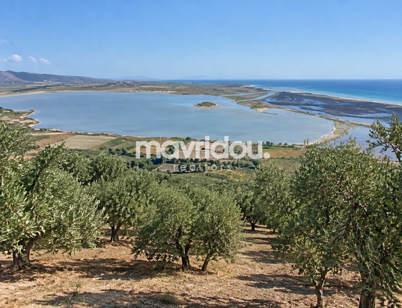 Αγροτεμάχια 2.050 τ.μ. προς πώληση, Μάνδρα Αβδήρων