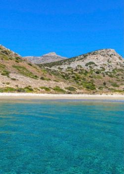 Οικόπεδο 11.000 τ.μ. προς πώληση