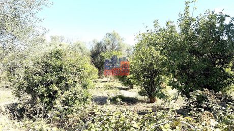 Parcel 1.974 sqm for sale