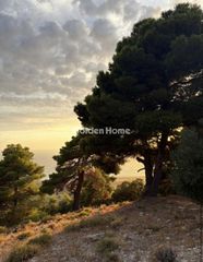 Οικόπεδο 29.000 τ.μ. προς πώληση, Αυλώνα Μεσσηνίας-thumb-2