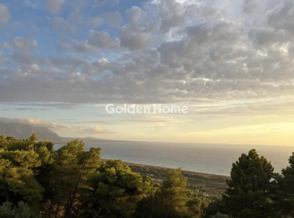 Οικόπεδο 29.000 τ.μ. προς πώληση, Αυλώνα Μεσσηνίας