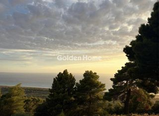 Οικόπεδο 29.000 τ.μ. προς πώληση, Αυλώνα Μεσσηνίας-thumb-1