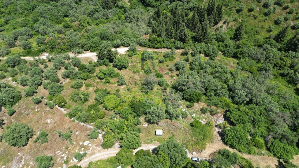 Αγροτεμάχια 6.000 τ.μ. προς πώληση, Περιοχή Χώρας Λευκάδας