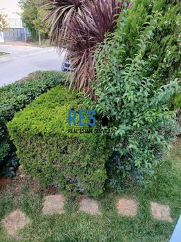 Detached home 125 sqm for rent