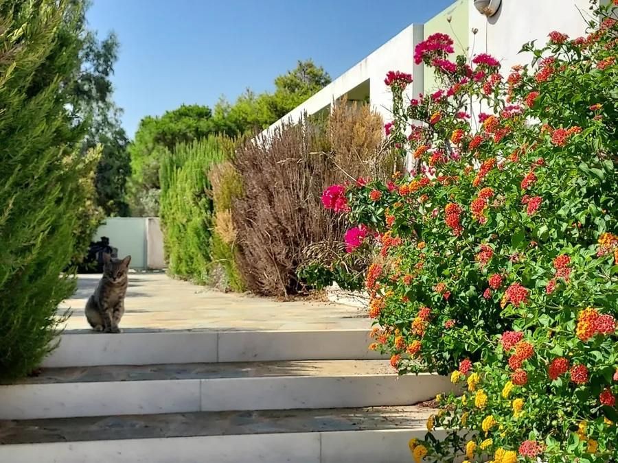 Μεζονέτα 90 τ.μ. προς πώληση, Πεύκα Κερατέας