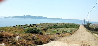 Αγροτεμάχια 9.800 τ.μ. προς πώληση