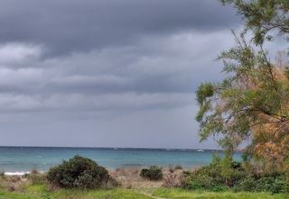 Αγροτεμάχια 2.170 τ.μ. προς πώληση