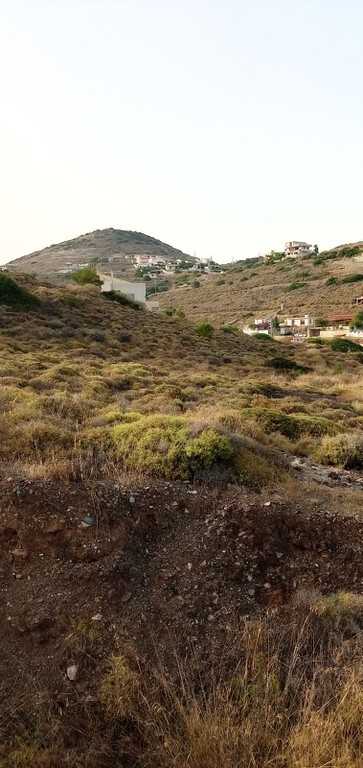 Αγροτεμάχια 9.000 τ.μ. προς πώληση, Πόρτο Εννιά