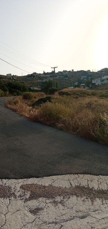 Αγροτεμάχια 9.000 τ.μ. προς πώληση, Πόρτο Εννιά