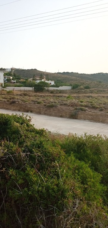 Αγροτεμάχια 4.800 τ.μ. προς πώληση, Πεύκα Κερατέας