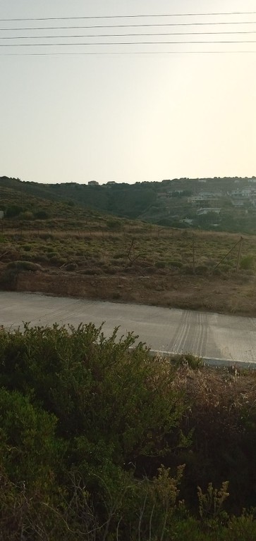 Αγροτεμάχια 4.800 τ.μ. προς πώληση, Πεύκα Κερατέας