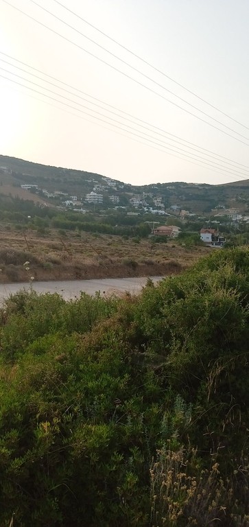 Αγροτεμάχια 4.800 τ.μ. προς πώληση, Πεύκα Κερατέας