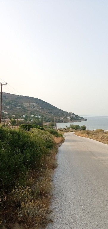 Αγροτεμάχια 4.800 τ.μ. προς πώληση, Πεύκα Κερατέας