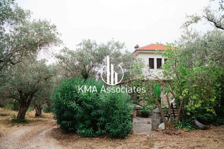 Μονοκατοικία 140 τ.μ. προς πώληση