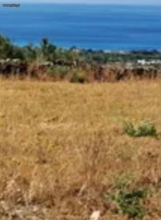 Οικόπεδο 8.600 τ.μ. προς πώληση, Αμπελάς