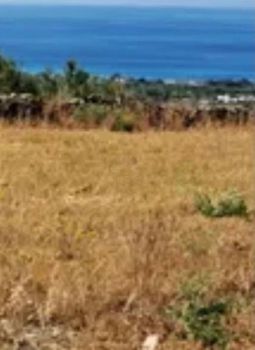 Οικόπεδο 8.600 τ.μ. προς πώληση