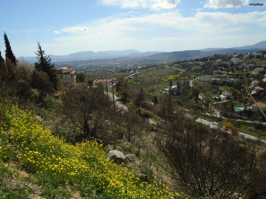 Οικόπεδο 1.300 τ.μ. προς πώληση, Ντράφι