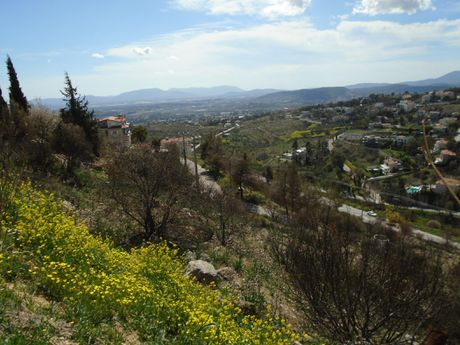 Οικόπεδο 1.300 τ.μ. προς πώληση