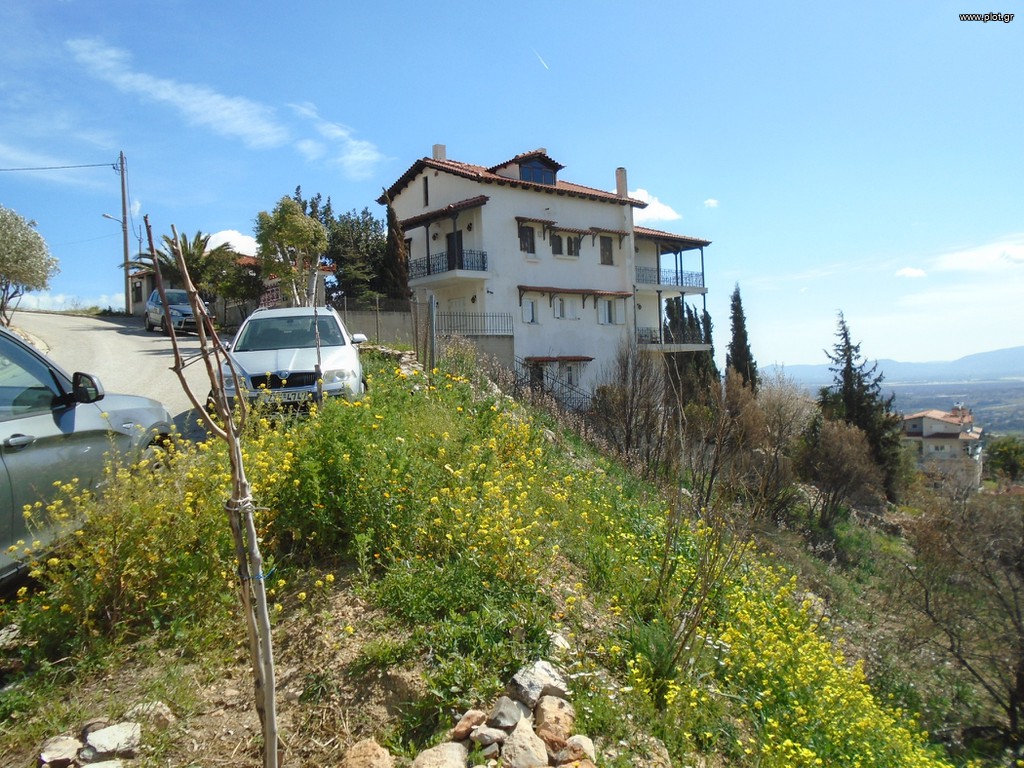 Οικόπεδο 1.300 τ.μ. προς πώληση, Ντράφι
