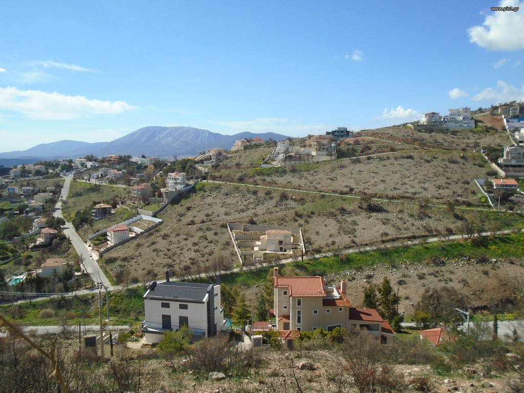 Οικόπεδο 1.300 τ.μ. προς πώληση, Ντράφι