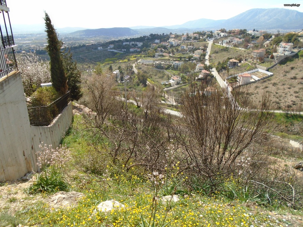 Οικόπεδο 1.300 τ.μ. προς πώληση, Ντράφι