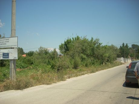 Οικόπεδο 786 τ.μ. προς πώληση
