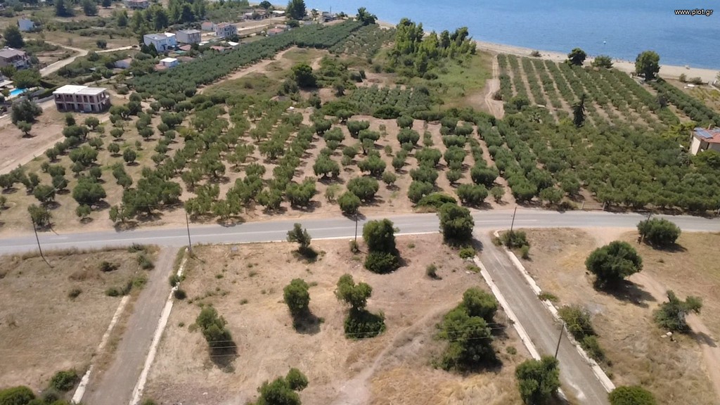 Οικόπεδο 614 τ.μ. προς πώληση, Σκάλα Γερακινής