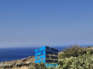 Αγροτεμάχια 25.692 τ.μ. προς πώληση