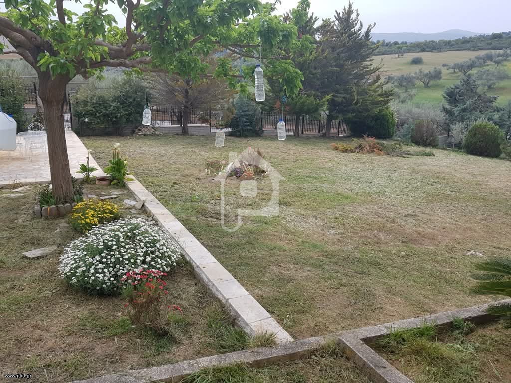 Μονοκατοικία 120 τ.μ. προς πώληση, Σκάλα Ωρωπού