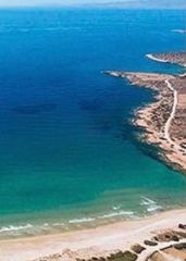 Οικόπεδο 11.000 τ.μ. προς πώληση