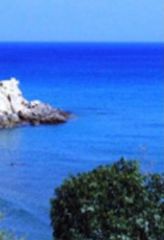 Οικόπεδο 120.000 τ.μ. προς πώληση