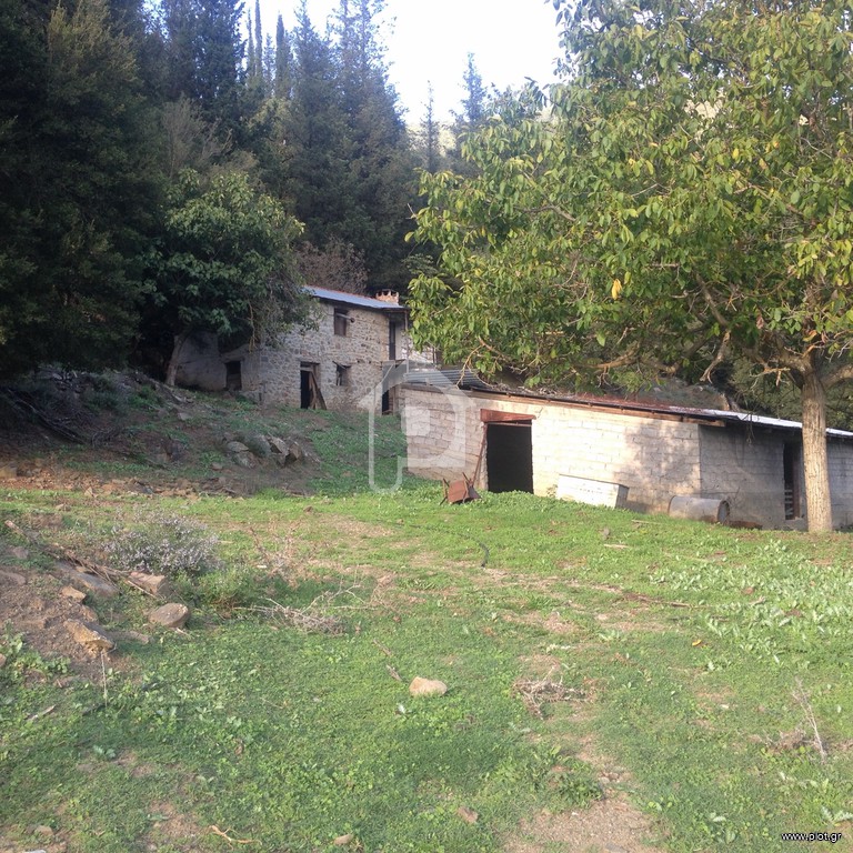 κτήμα16000m πρώην χοιροστάσιο - 16.000 τ.μ. προς πώληση, Παλαιοξάρι