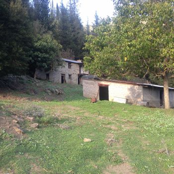 κτήμα16000m πρώην χοιροστάσιο - 16.000 τ.μ. προς πώληση