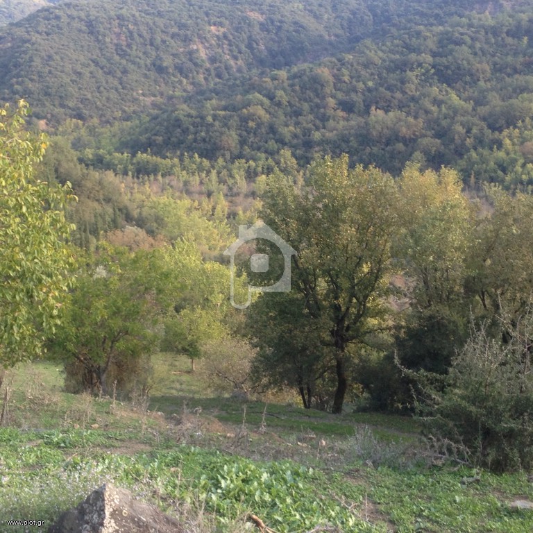 κτήμα16000m πρώην χοιροστάσιο - 16.000 τ.μ. προς πώληση, Παλαιοξάρι